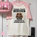 Cavalier King Charles Spaniel Dog