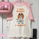 Cavalier King Charles Spaniel Dog