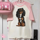 Cavalier King Charles Spaniel Dog